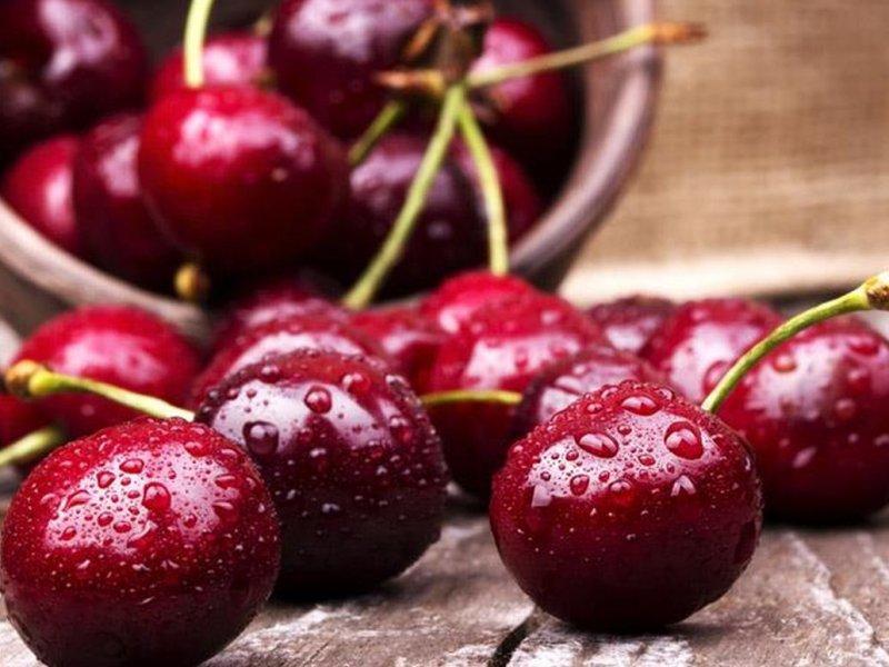 Вишня купить саженцы из питомника в Чебоксарах